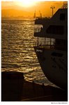 IMG_1503