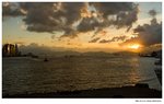IMG_1517