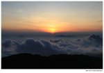IMG_2395