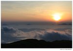 IMG_2412