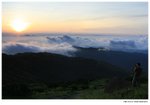 IMG_2415