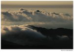 IMG_2490