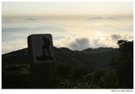 IMG_2522