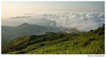 IMG_3427