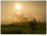 IMG_3439