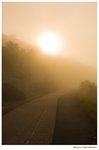 IMG_3462
