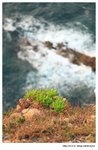 IMG_8541