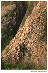 IMG_8570