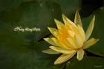 IMG_8199_20070708b