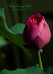 IMG_8202_20070708