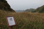 IMG_1148