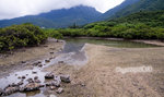 IMG_6351_20070618w