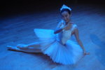 DSC01966