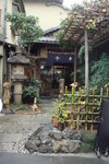 DSC01911
