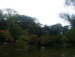 DSCF2356