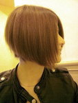 20090316285