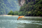 IMG_9748