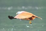 IMG_9777