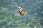 IMG_9788