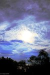 IMG_6769a