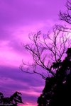 IMG_6858