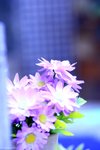 IMG_3584