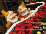 XmasCard