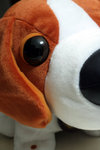 Singing Puppy

