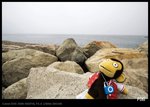 IMG_0470b