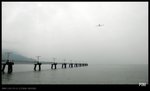 P1010878
