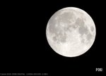 
IMG_9006