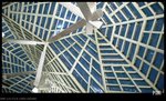 
P1010393