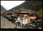 IMG_9412