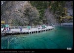 IMG_9421