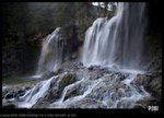 IMG_9430