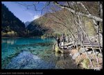 IMG_9439
