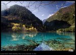 IMG_9444