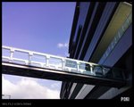 IMG(175)