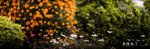 aIMG_272317