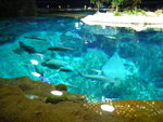 P1000709