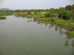 IMG_0213_mm