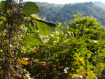 PC022072_m