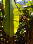 PC022073_m