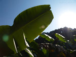 PC022074_m