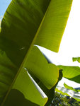 PC022080_m