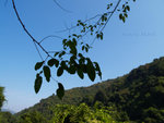 PC022087_m