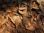 PC022088_m