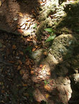 PC022092_m