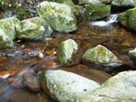 PC022106_m