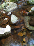 PC022111_m
